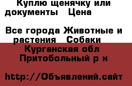 Куплю щенячку или документы › Цена ­ 3 000 - Все города Животные и растения » Собаки   . Курганская обл.,Притобольный р-н